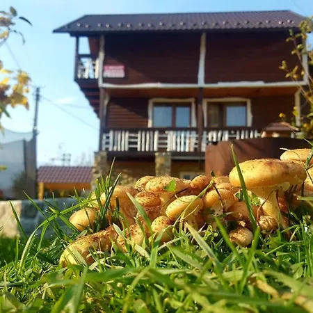 кам'яний двір * Jaremtsche